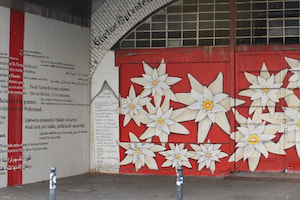Photograph of the Edelweiss Pirates memorial in the Ehrenfeld neighborhood of Cologne. White edelweiss flowers painted on a red background.
